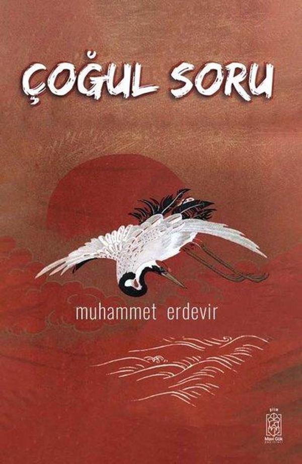 Çoğul Soru - Mavi Gök Yayınları - Image 1