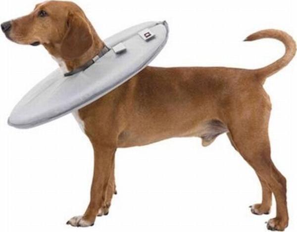 Trixie Köpek ve Kedi Yakalığı XXS-XS 18-21 Cm 11 Cm Gri - Image 1
