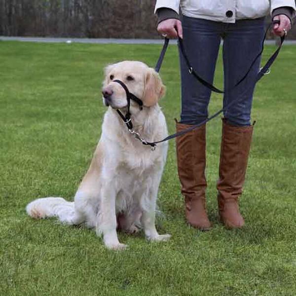 Trixie Uzman Köpek Eğitim Tasması XL Kısa 40 Cm - Image 1