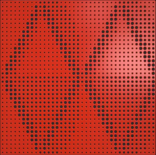 Artnovion Petra (rouge) - Absorber (8 Adet 60 X 60 Cm) - Image 1