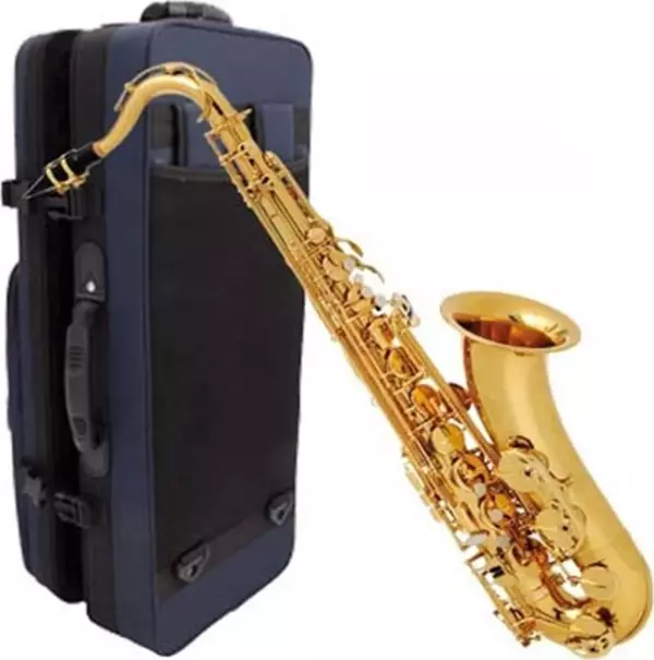 Buffet Crampon 100 Seri Alto Saksafon  Bc8101-1-0 - Image 1