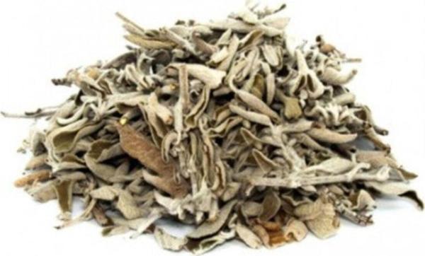 Schiller Adaçayı ( Sage Tea ) 125 gr - Image 1