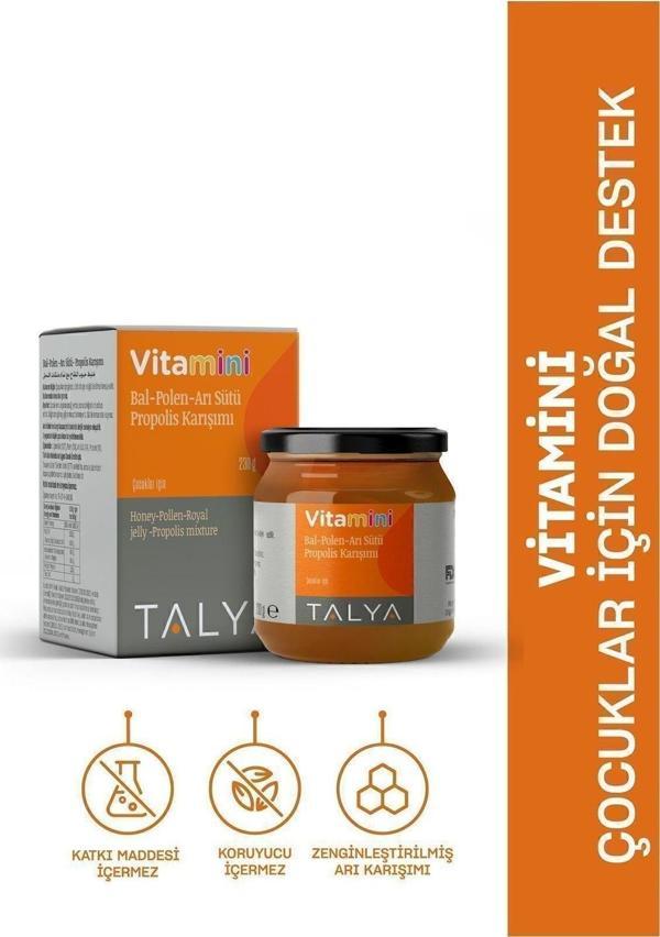Talya Vitamini Bal-Polen-Arı Sütü-Propolis Karışımı (Çocuklar İçin)  - Image 1