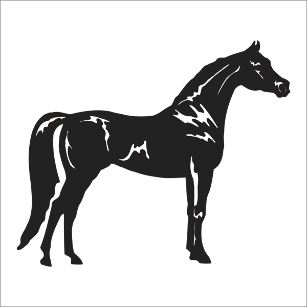 AT FOLYO STİCKER 40cm Uzunluk - Image 1