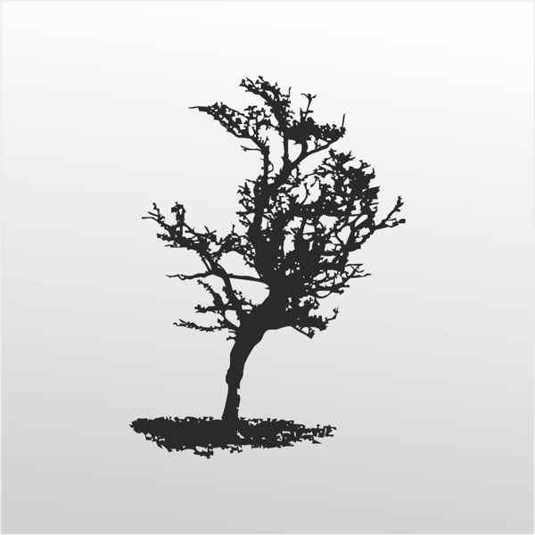 Folyo Sticker Ağaç 90 cm uzunluk - Image 1
