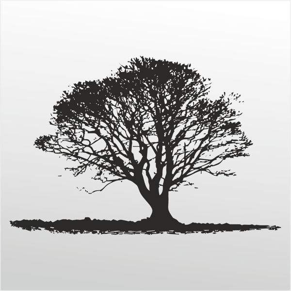 Folyo Sticker Ağaç 130cm Uzunluk - Image 1