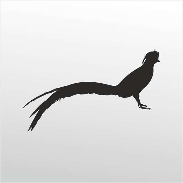 Folyo Sticker Anka Kuşu 80cm Uzunluk - Image 1