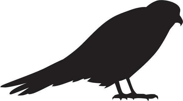 Folyo Sticker Arı Kuşu 90 cm uzunluk - Image 1