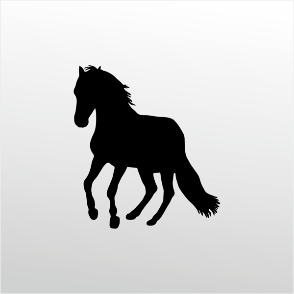 Folyo Sticker At 160cm Uzunluk - Image 1