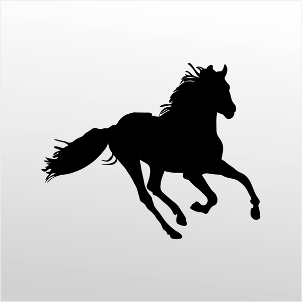 Folyo Sticker At 160cm Uzunluk - Image 1