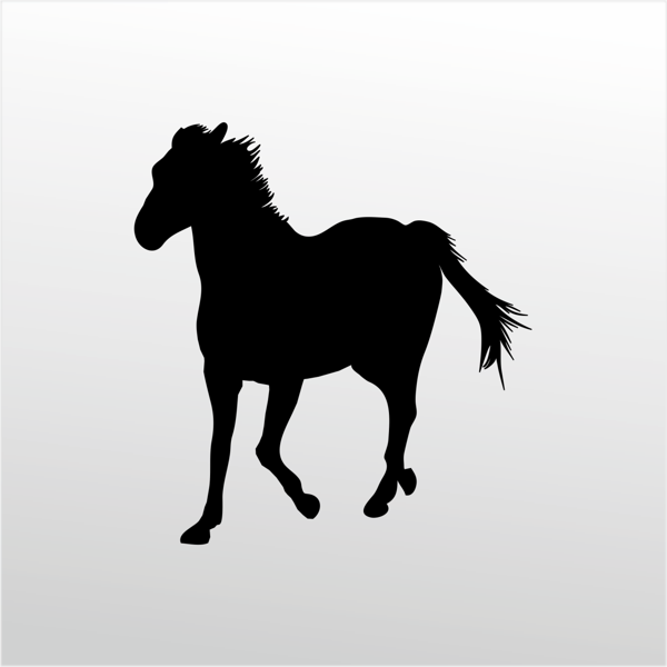 Folyo Sticker At 160cm Uzunluk - Image 1