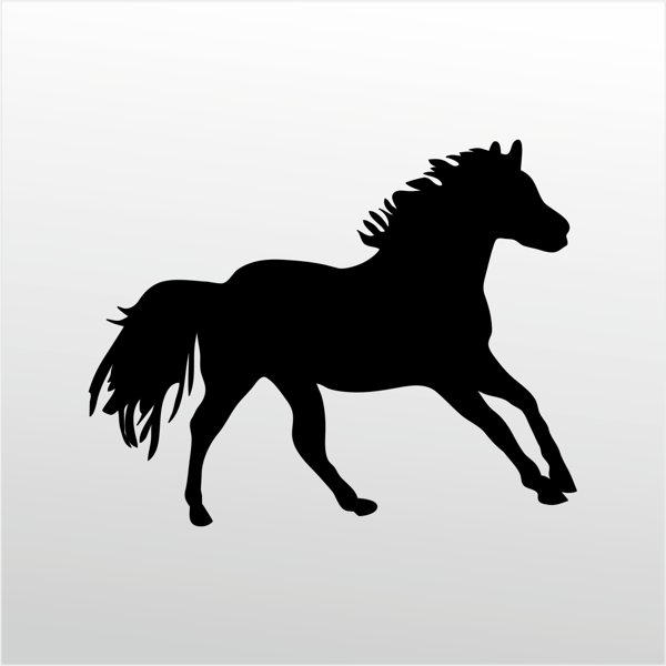 Folyo Sticker At 160cm Uzunluk - Image 1