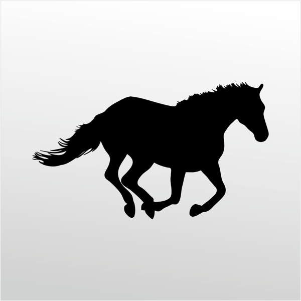 Folyo Sticker At 200cm Uzunluk - Image 1