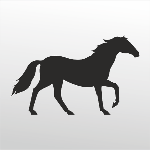 Folyo Sticker At 20cm uzunluk - Image 1