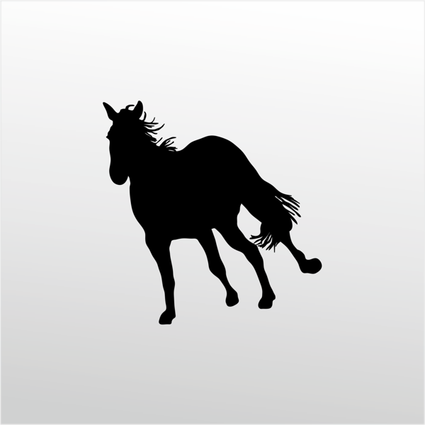 Folyo Sticker At 20cm uzunluk - Image 1