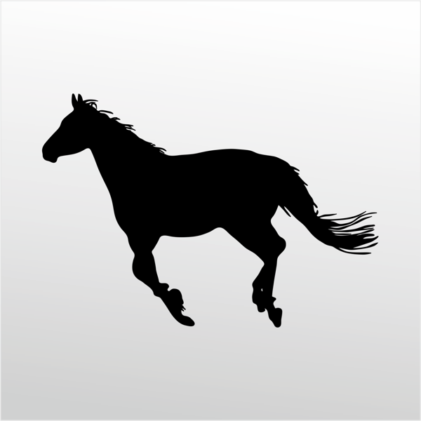 Folyo Sticker At 100cm Uzunluk - Image 1