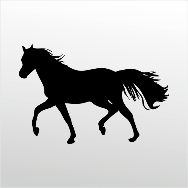 Folyo Sticker At 100cm Uzunluk - Image 1