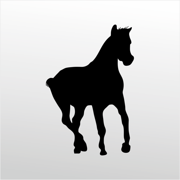 Folyo Sticker At 30cm Uzunluk - Image 1