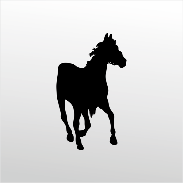 Folyo Sticker At 40cm Uzunluk - Image 1