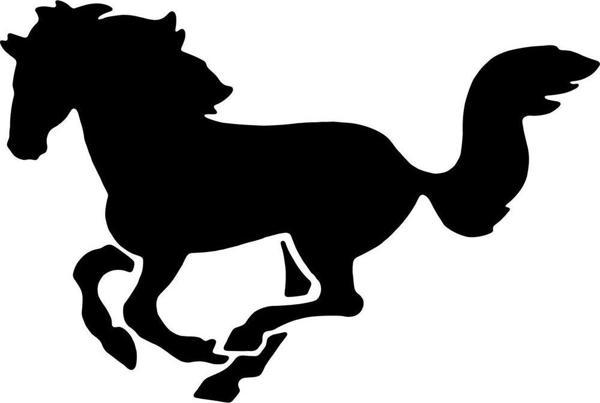 Folyo Sticker At 160cm Uzunluk - Image 1