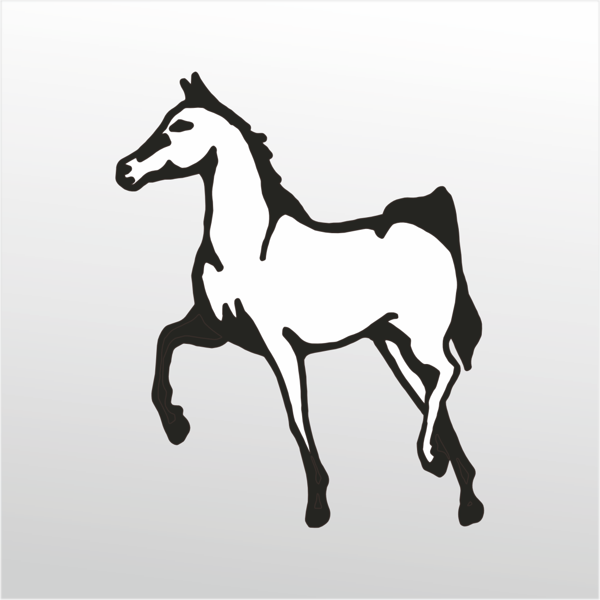 Folyo Sticker At 60cm Uzunluk - Image 1