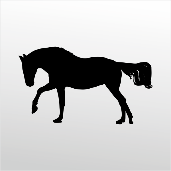 Folyo Sticker At 80cm Uzunluk - Image 1