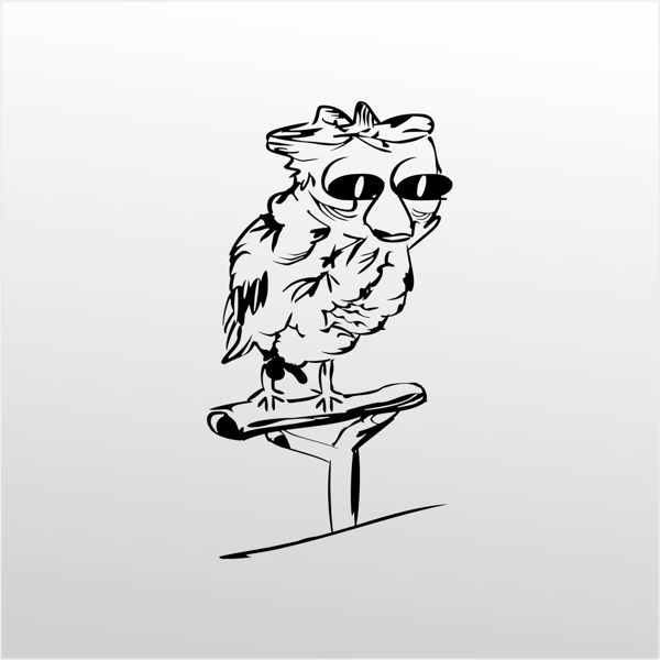 Folyo Sticker Baykuş 100cm Uzunluk - Image 1