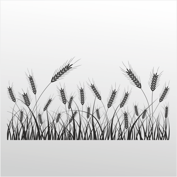 Folyo Sticker Buğday 160cm Uzunluk - Image 1