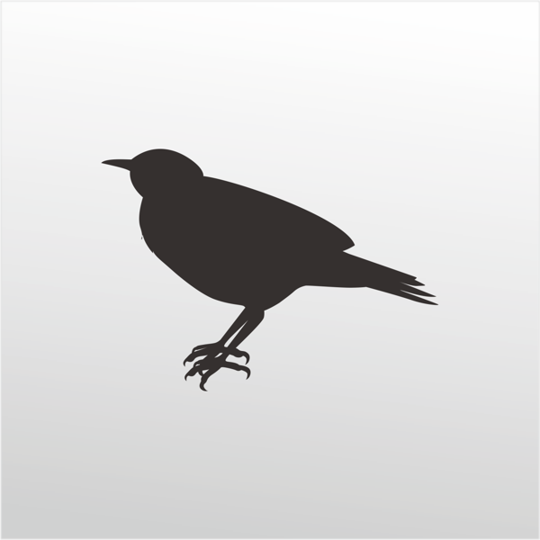 Folyo Sticker Bülbül 40cm Uzunluk - Image 1