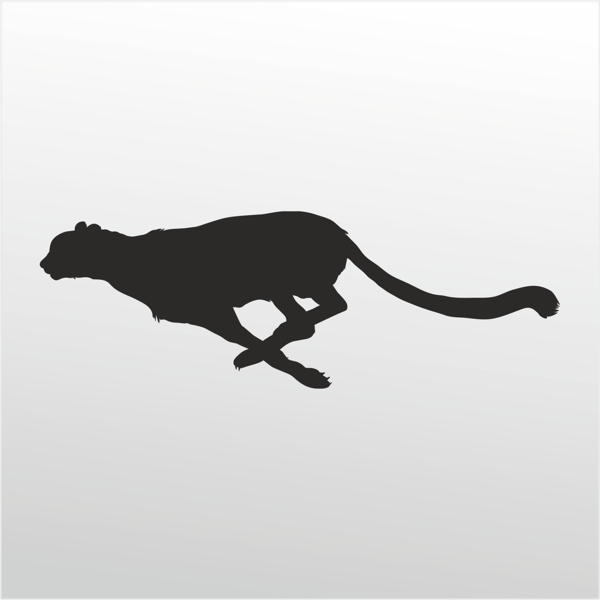 Folyo Sticker Çita 100cm Uzunluk - Image 1