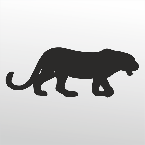 Folyo Sticker Çita 100cm Uzunluk - Image 1