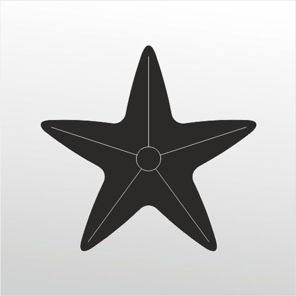 Folyo Sticker Deniz Yıldızı 100cm Uzunluk - Image 1