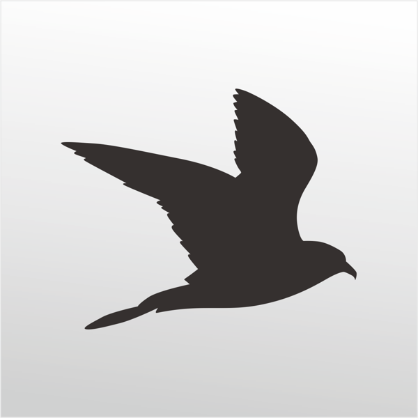 Folyo Sticker Güvercin 200cm Uzunluk - Image 1