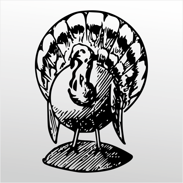 Folyo Sticker Hindi 40cm Uzunluk - Image 1