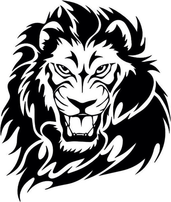 Folyo Sticker Kaplan 80cm Uzunluk - Image 1