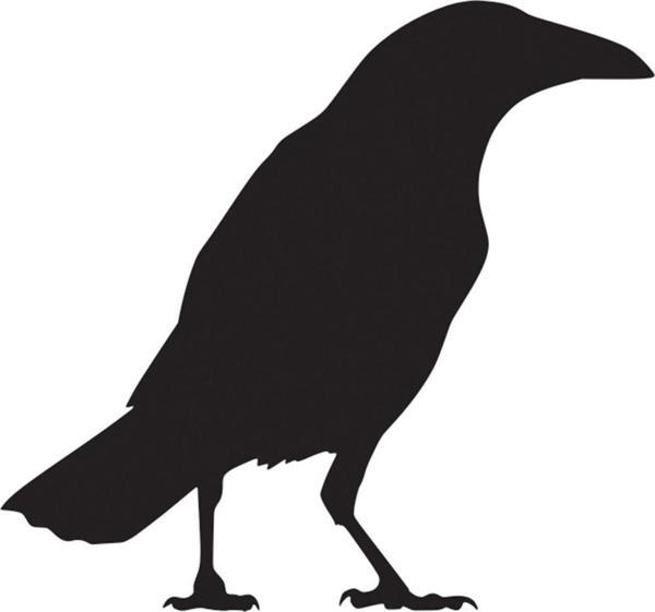 Folyo Sticker Karga 130cm Uzunluk - Image 1