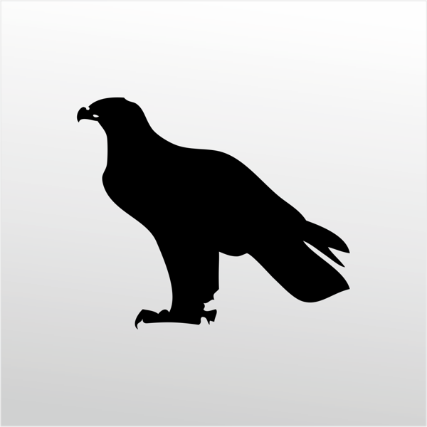 Folyo Sticker Kartal 40cm Uzunluk - Image 1