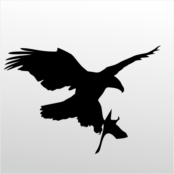 Folyo Sticker Kartal 80cm Uzunluk - Image 1