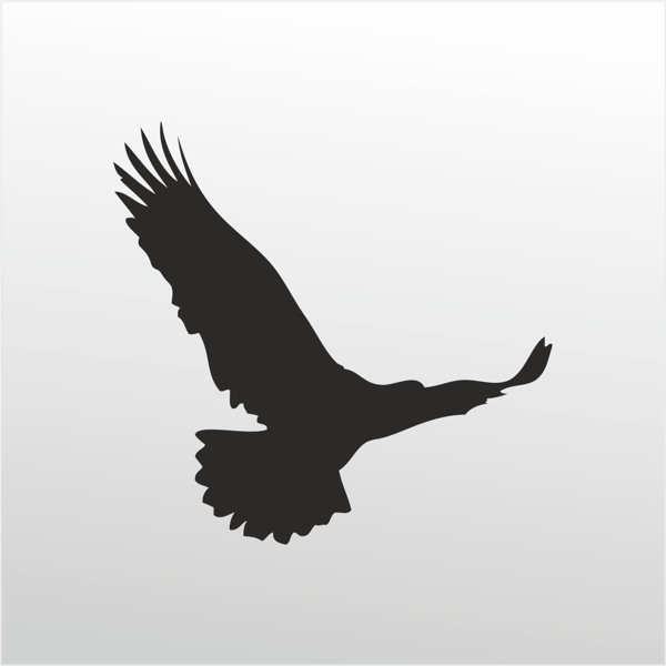 Folyo Sticker Kartal 100cm Uzunluk - Image 1