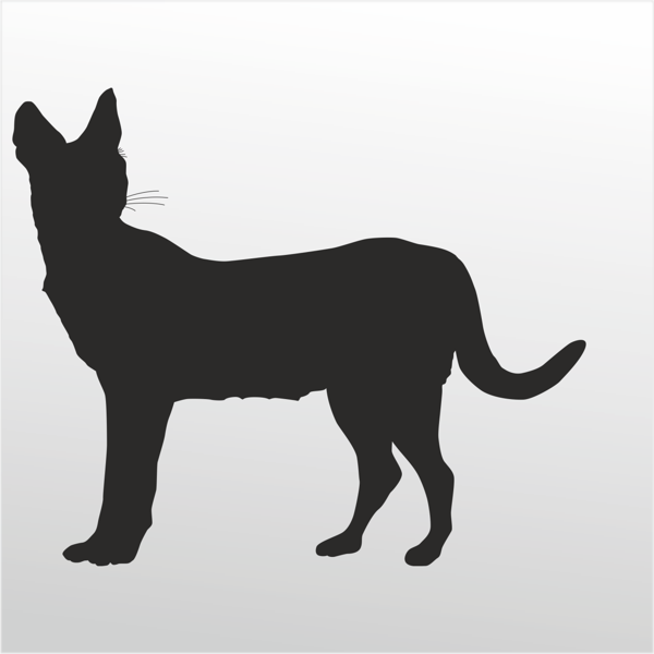 Folyo Sticker Kedi 40cm Uzunluk - Image 1