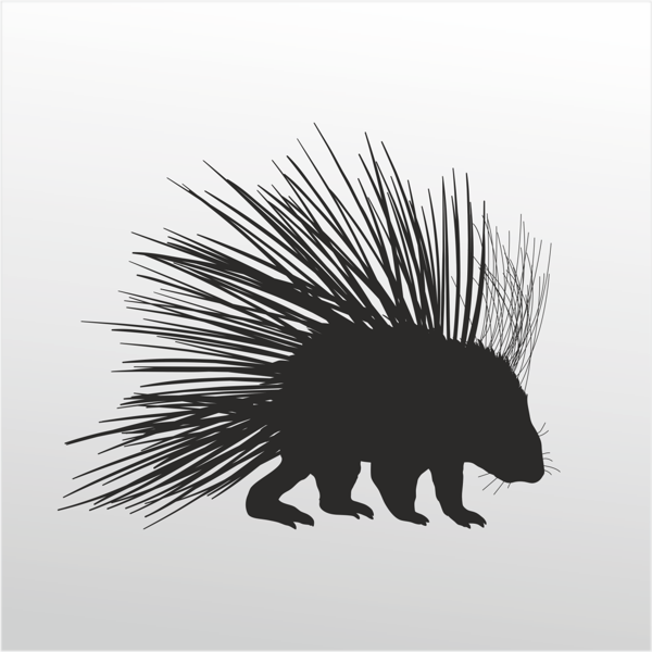 Folyo Sticker Kirpi 40cm Uzunluk - Image 1