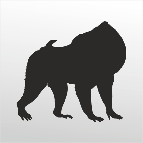 Folyo Sticker Orangutan 130cm Uzunluk - Image 1