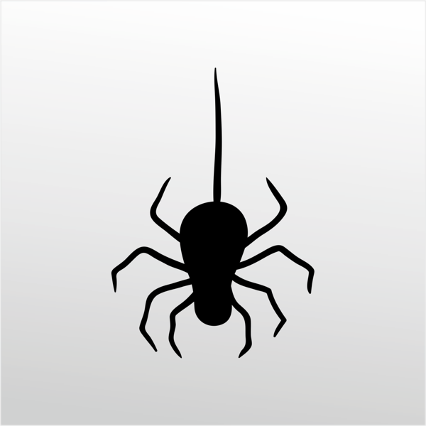 Folyo Sticker Örümcek 100cm Uzunluk - Image 1