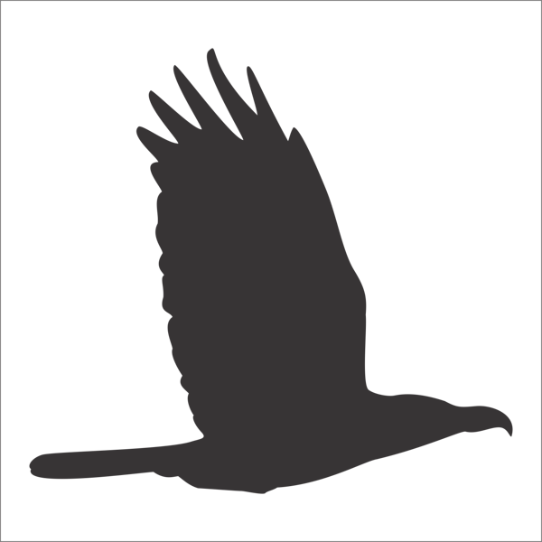 KUŞ FOLYO STİCKER 200cm Uzunluk - Image 1