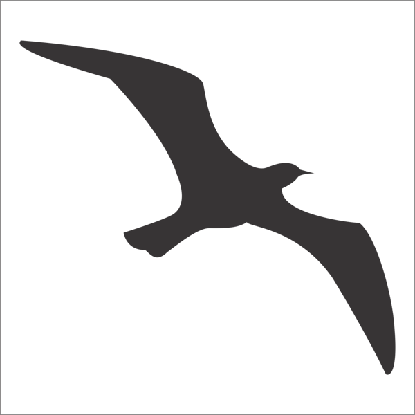 KUŞ FOLYO STİCKER 70cm Uzunluk - Image 1