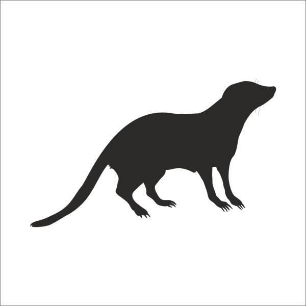 SANSAR FOLYO STİCKER 160cm Uzunluk - Image 1