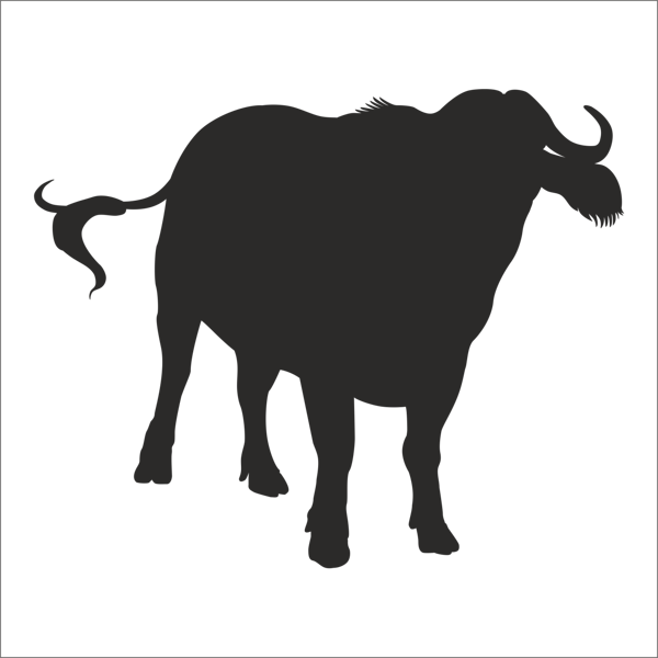 MANDA FOLYO STİCKER 70cm Uzunluk - Image 1