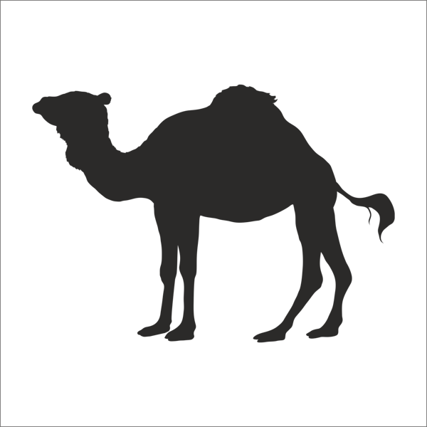 DEVE FOLYO STİCKER 40cm Uzunluk - Image 1