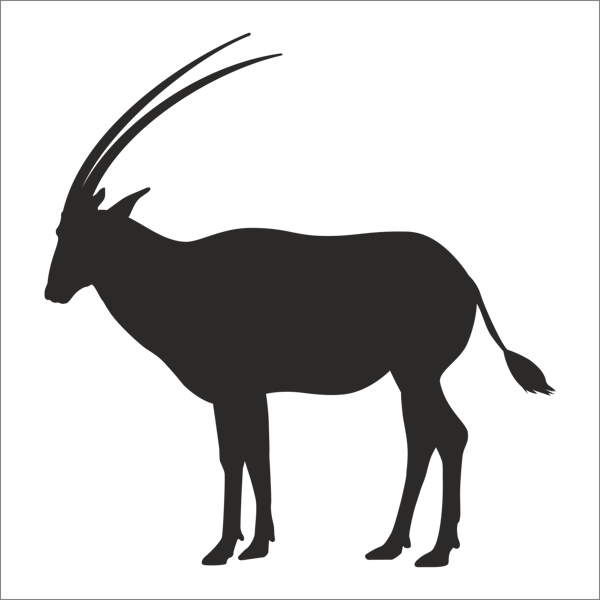 GEYİK FOLYO STİCKER 40cm Uzunluk - Image 1