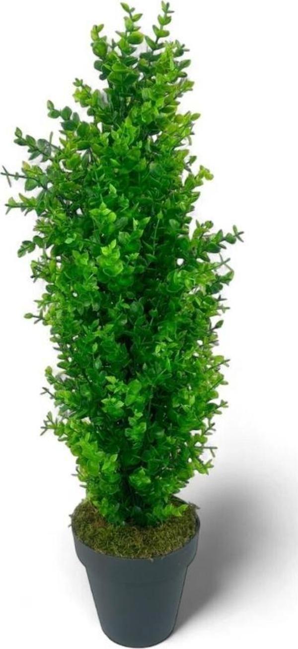 Netten Evime Yapay Çiçek Siyah Saksıda Yeşil Şimşir Ağacı 80*30cm - Image 1